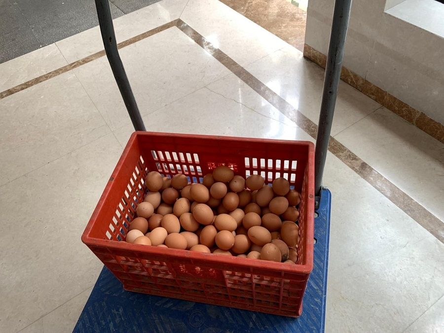 Ashley Ng's basket of eggs to be distributed among her neighbours. (Photo provided by interviewee)