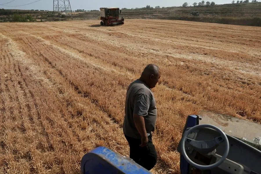 A farm worker waits for a combine harvester working on a wheat field at Yongshou county in Xianyang, Shaanxi province, China, on 29 May 2025.
