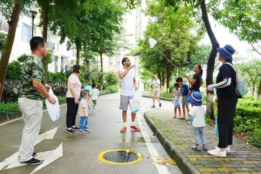 Employees and their family members at the power plant are seen picking mangoes from the mango tree. (WeChat/台核故事)