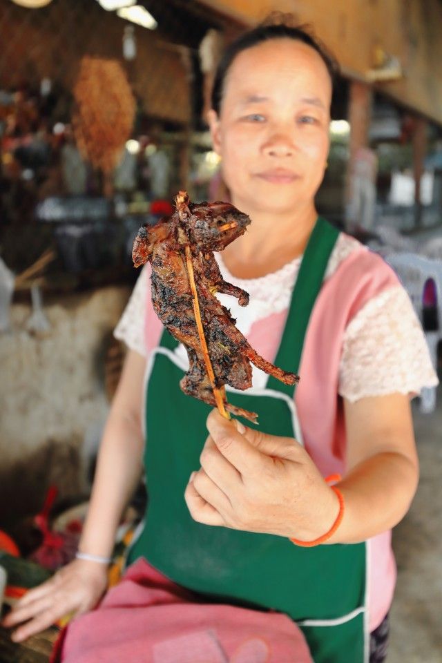 A woman selling fried rats, Pak Nam Noy, Phongsali province, Laos. (iStock)