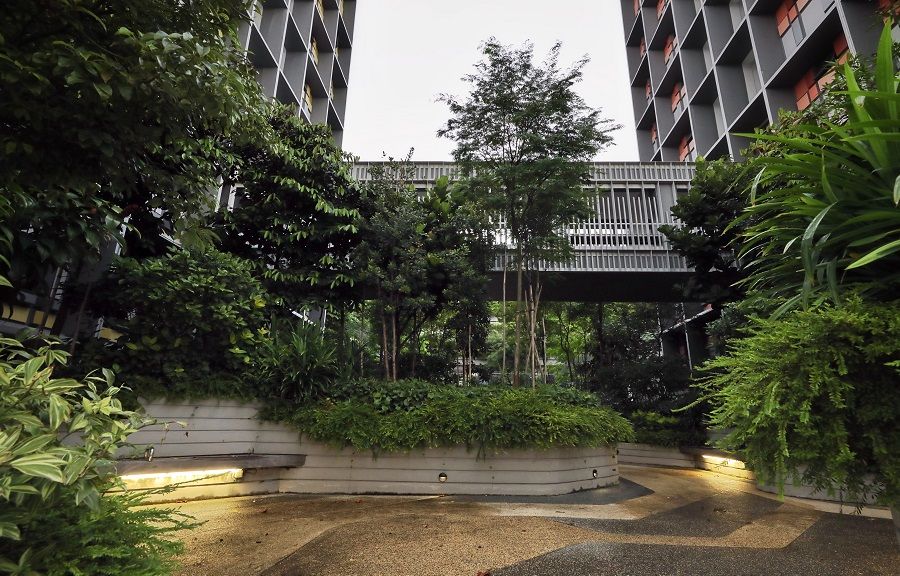 A rooftop garden at Kampung Admiralty designed by WOHA. (SPH)