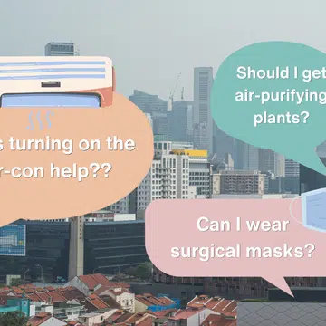 aircon, plants, masks, how to reduce haze effects