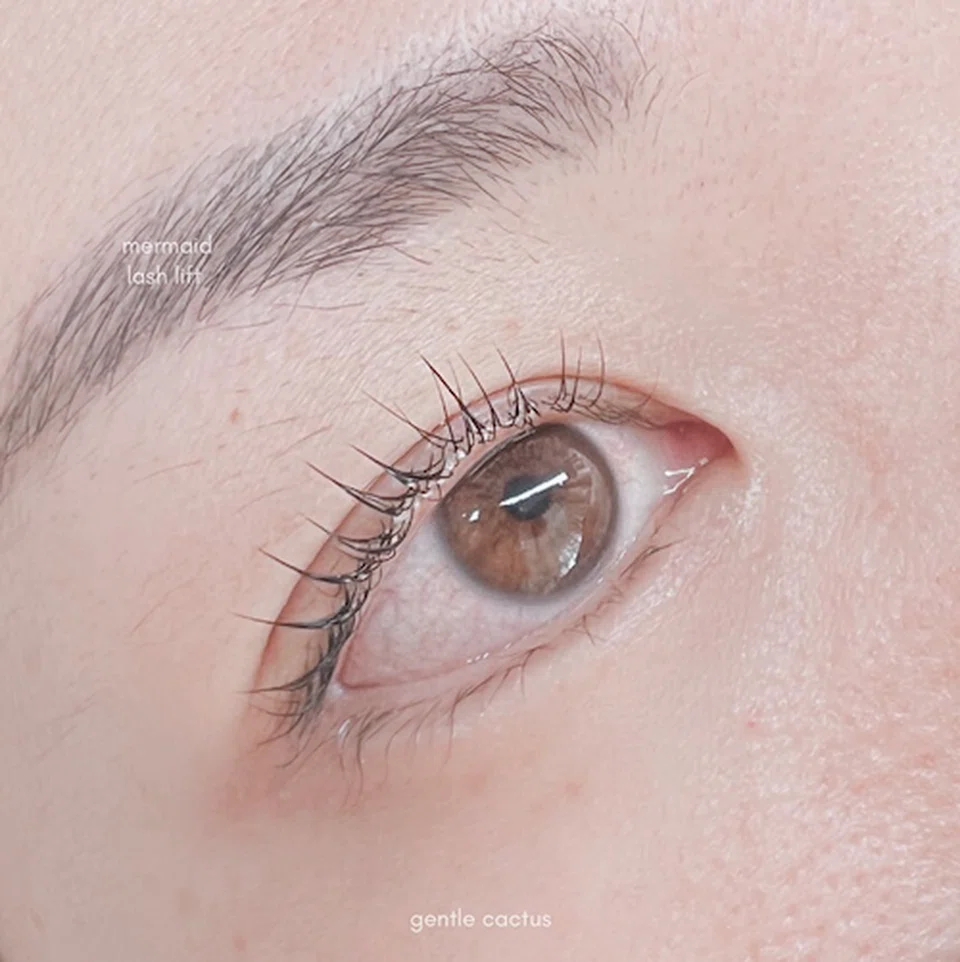 Gentle-Cactus-mermaid-lash-lift-Spa-Awards-2024