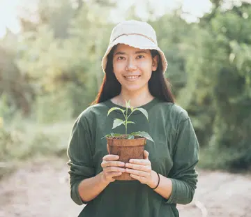 everything-you-need-to-know-about-plant-fertilisers