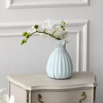guide-to-growing-orchids-in-singapore