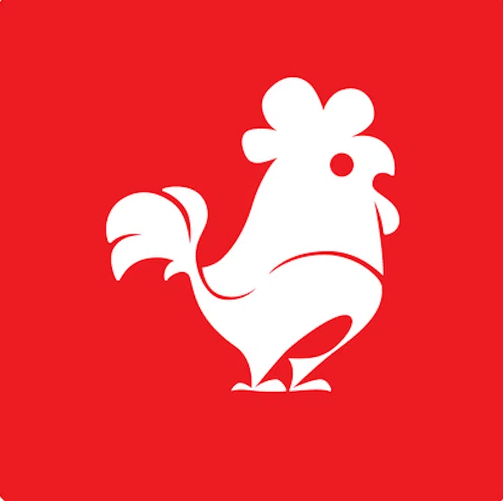 chinese zodiac forecast year of dragon 2024 rooster