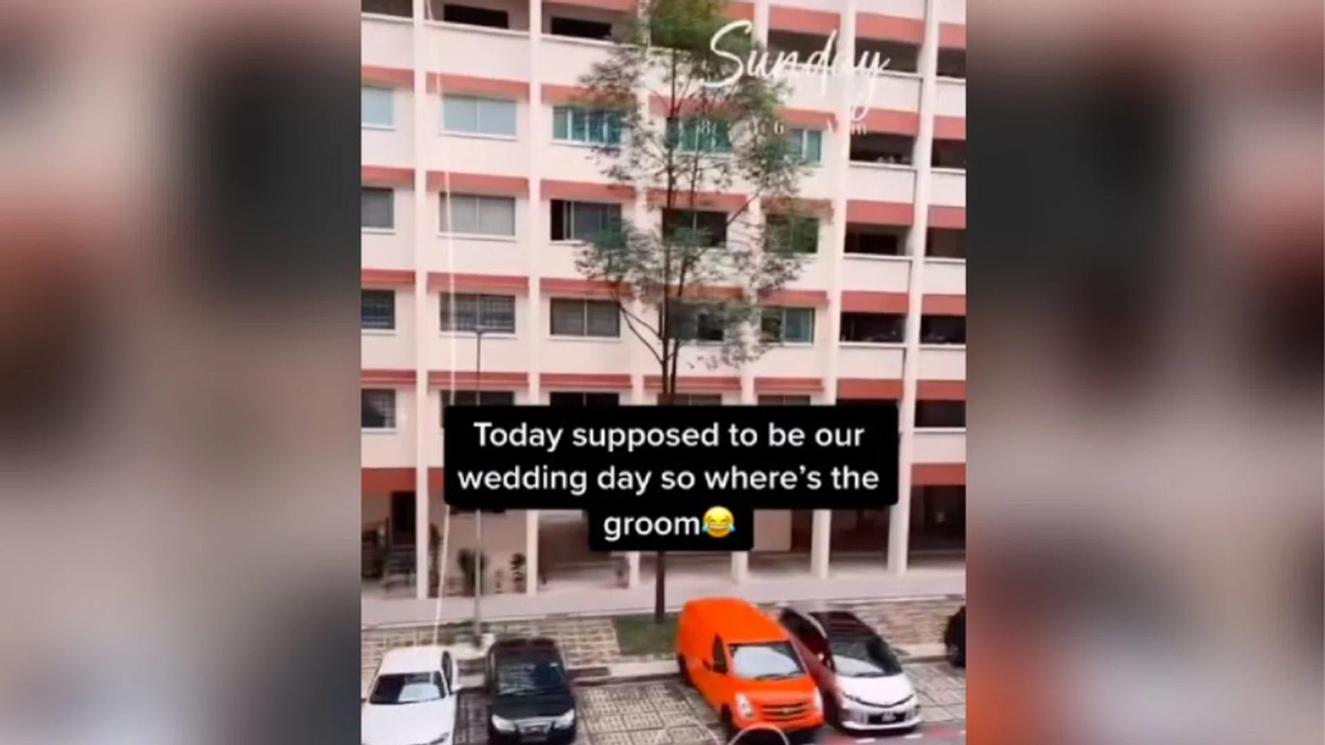 Screengrab/TikTok/iamjoyceyap