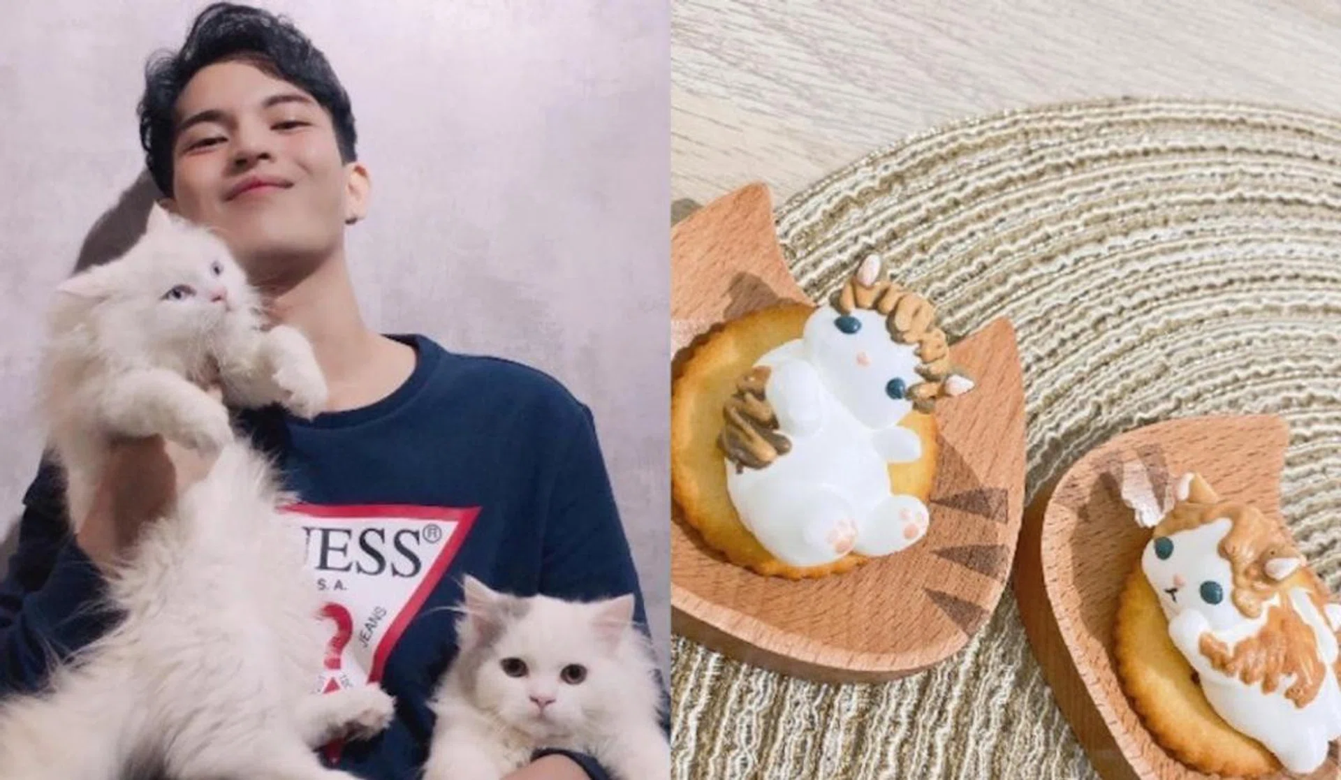 Credit: Instagram/sydirahman, Instagram/pawsclawspetstore