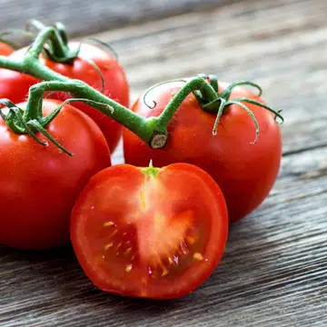 how-to-make-tomato-seeds-last-growing