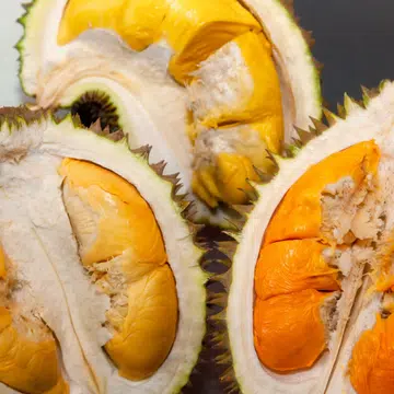 types of durian singapore