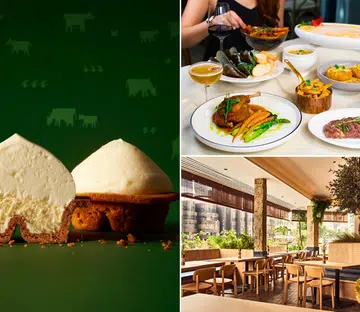 new cafes restaurants menus may 2026 singapore cheese wonder cloudfieds vineyark hortpark