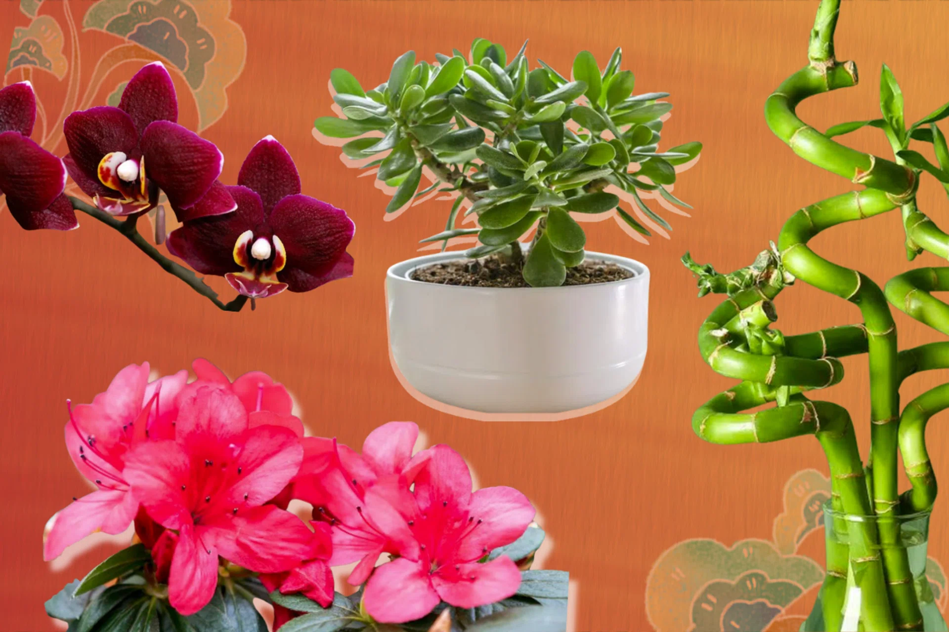 lucky plants and flowers chinese new year 2026