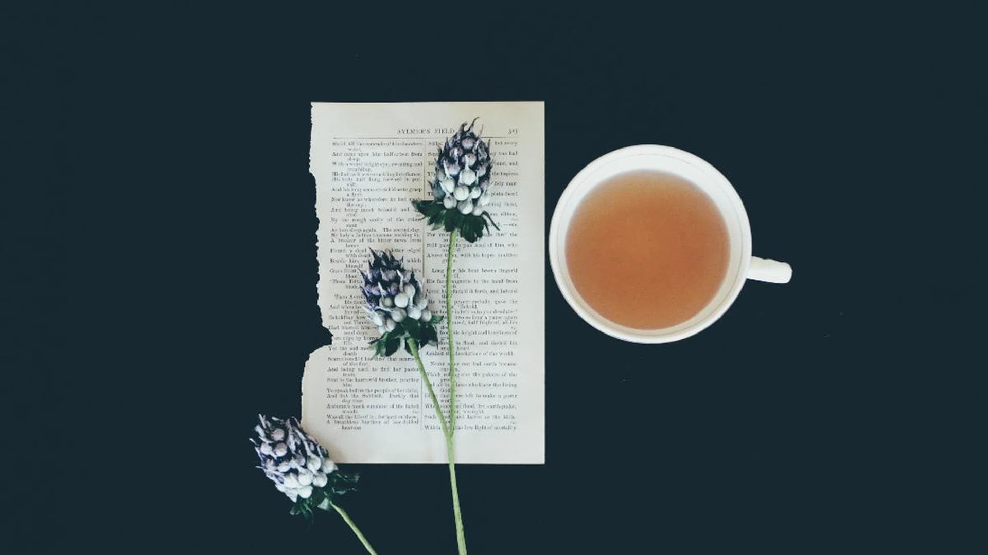 Herbal Teas To Beat The Festive Bloat_Featured