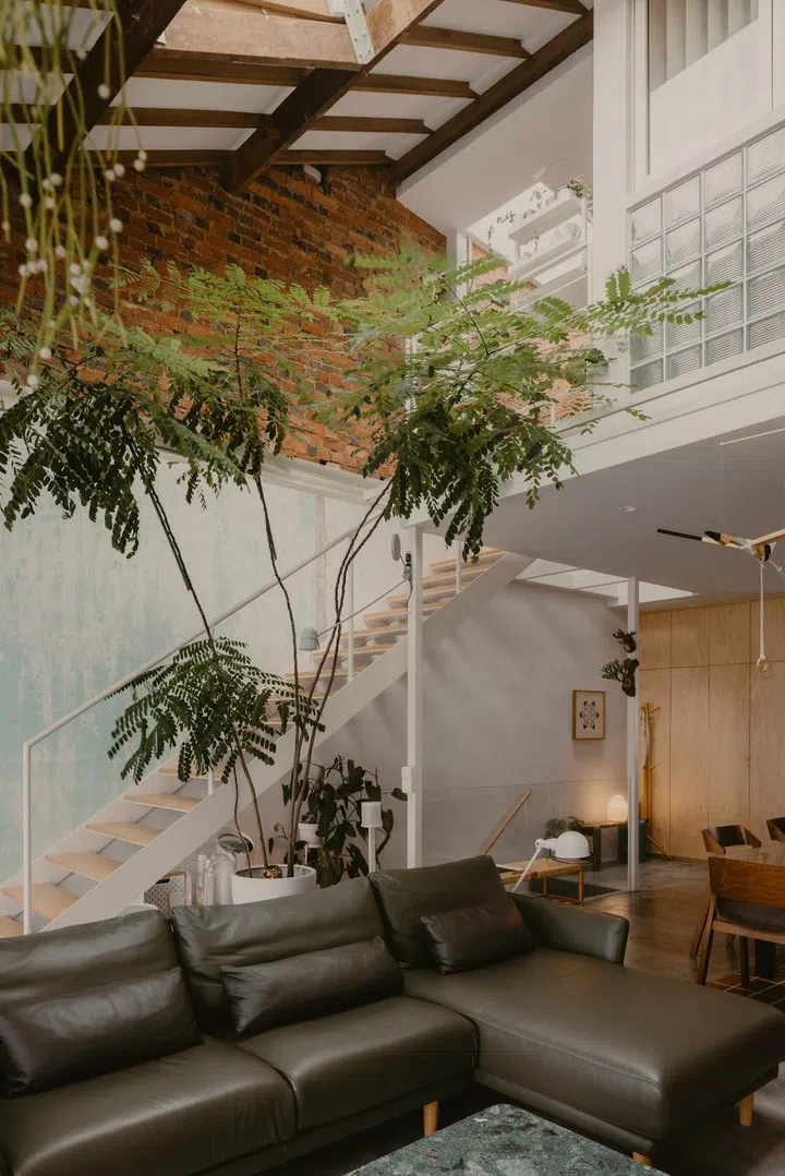 The tree in the living area is nourished by natural light from a skylight created on the roof. (Photo: Studio Periphery)