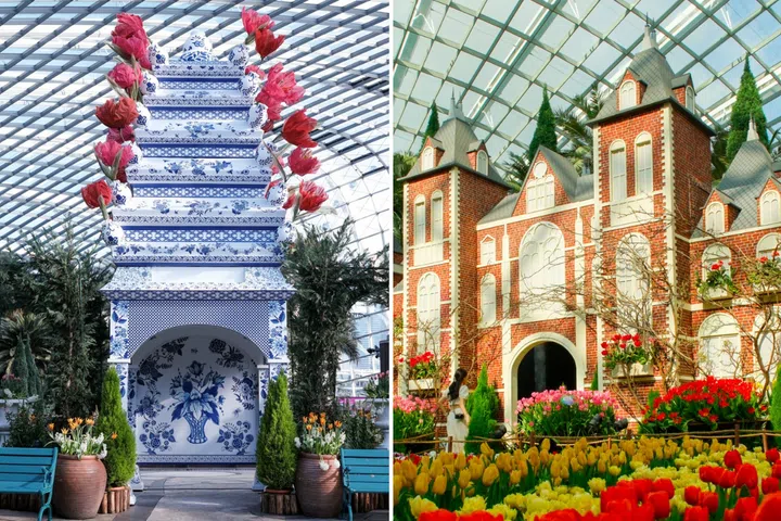 things to do with kids - tulipmania
