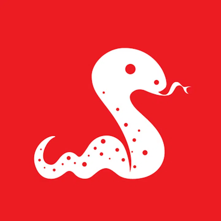 chinese zodiac forecast year of dragon 2024 snake