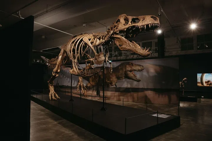 dinosaur exhibition at Science Centre Singapore