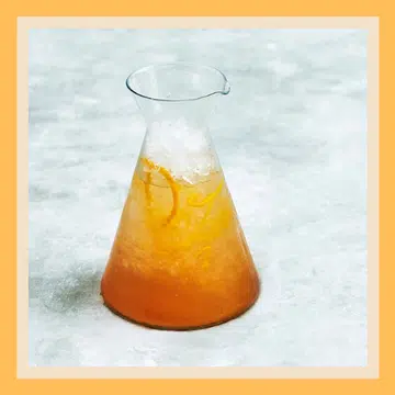 Elderflower Mimosa main