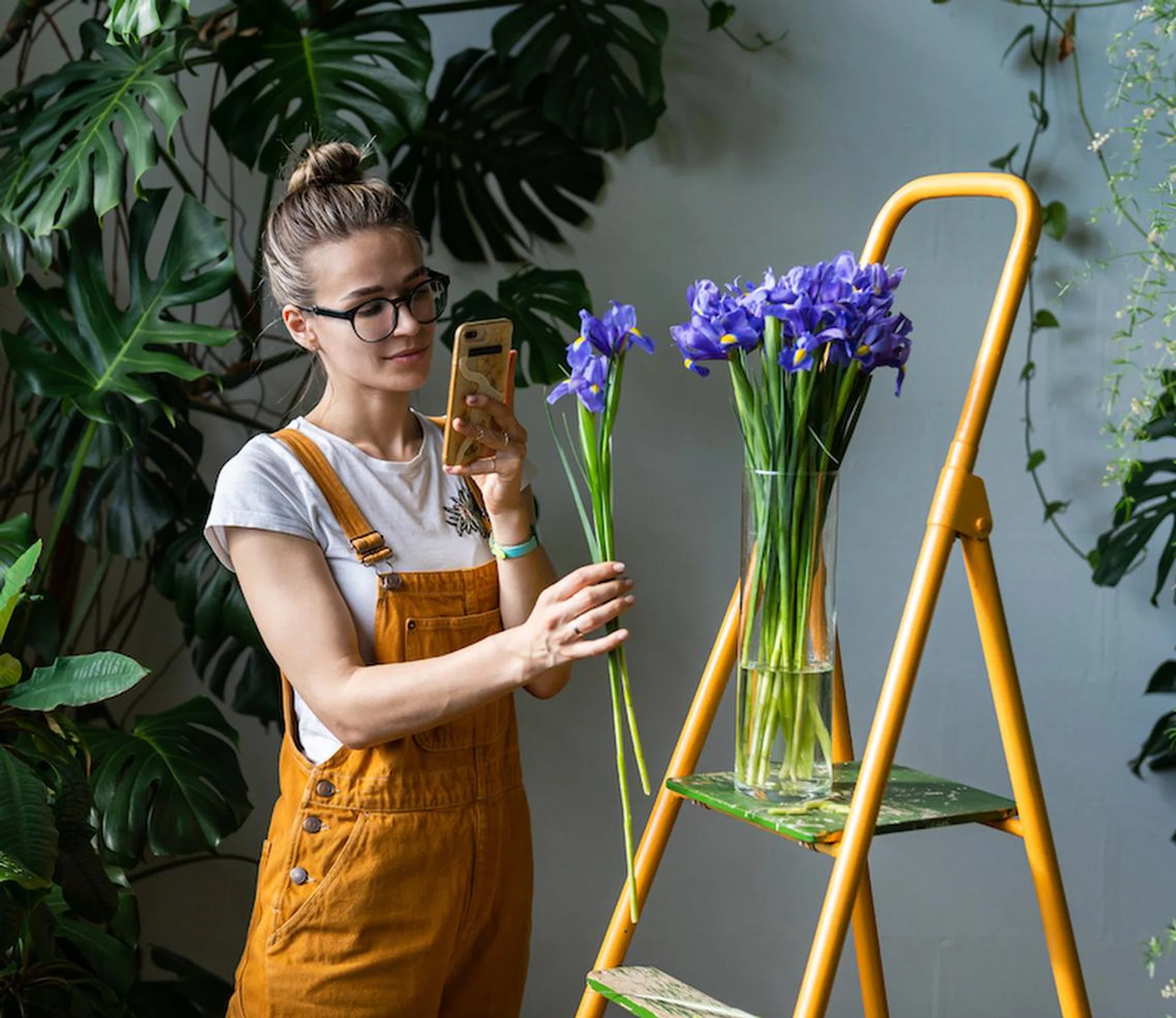 low-maintenance-indoor-plants-hydroponics-gardening-tips