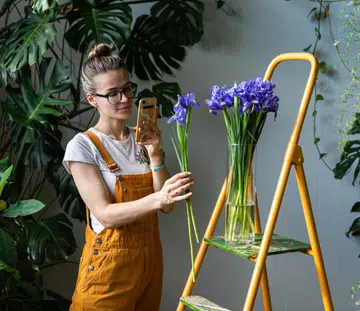 low-maintenance-indoor-plants-hydroponics-gardening-tips