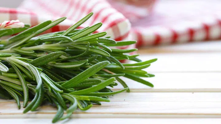The group that received rosemary aromatherapy had decreased frontal alpha and beta power “suggesting increased alertness”.