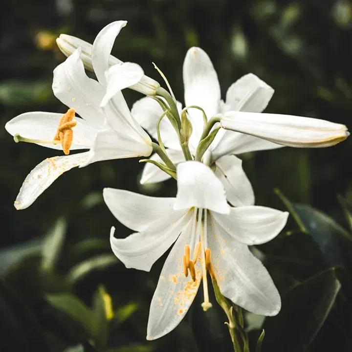 Credit: Photo by Serafima Lazarenko on Unsplash