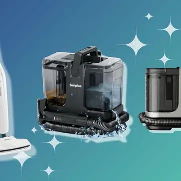 best steam cleaners 2026