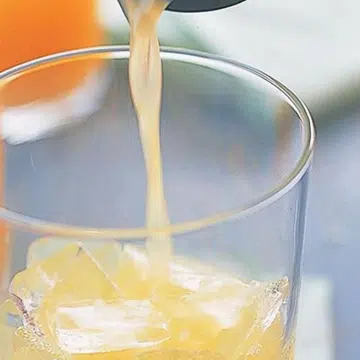 Scorpion Cocktail