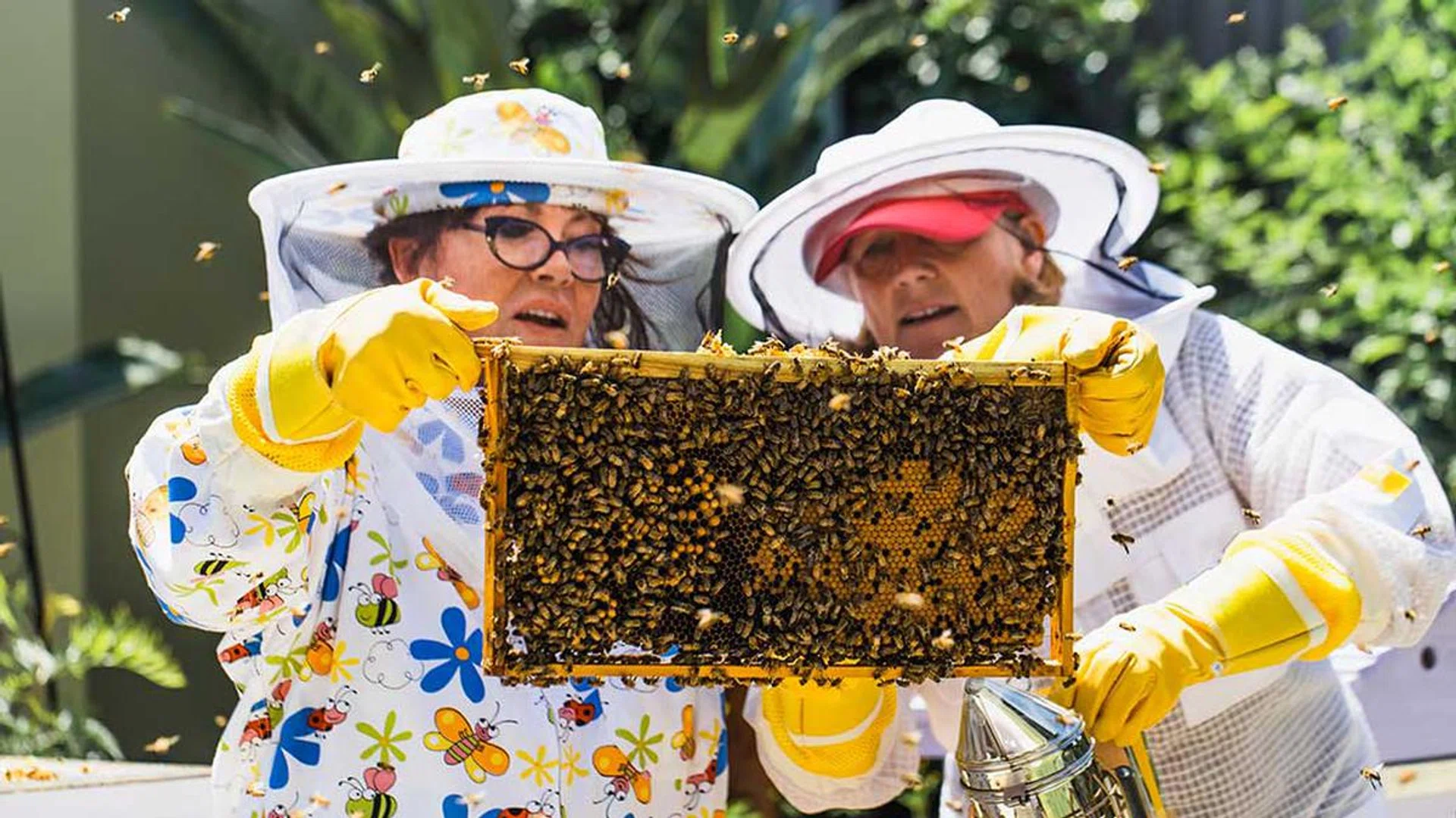Angelina Jolie Created A Female Beekeeping Programme With Guerlain To Help Women In Need
