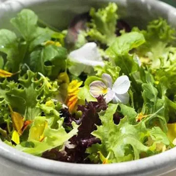 Flower Salad