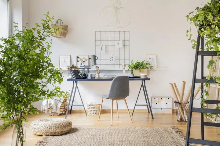 Plants in white spacious home office interior with pouf on carpet near grey chair at desk. Real photo
