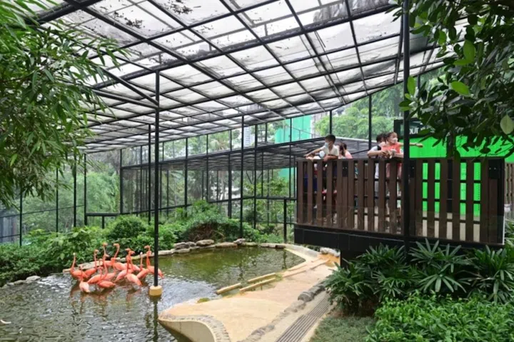 HK Zoo