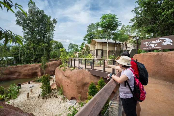 Views of Red Ravine from Crocodile Lodge at Rainforest Wild Adventure East