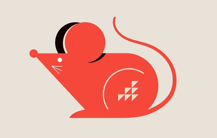 Chinese horoscope zodiac collection, geometric minimalist style. Animals symbols of Chinese New year . Set of mascots: rabbit, dragon, snake, tiger, ox, rat, pig, dog, rooster, monkey, goat, horse. Vector illustrations and concept design