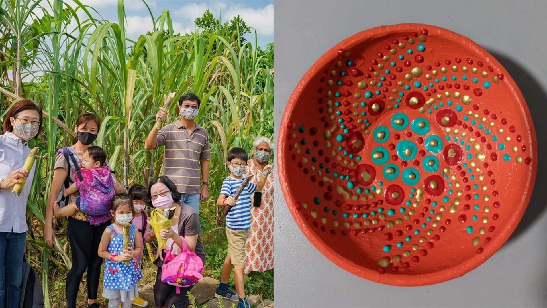 Family-friendly activities 10 - 16 Jan