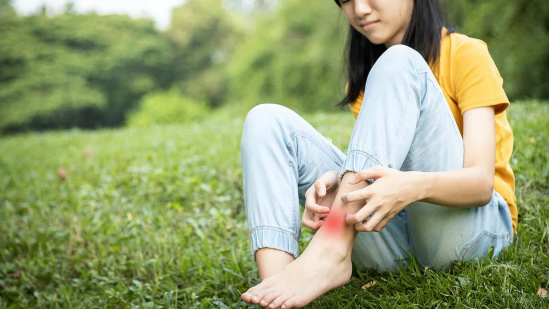 Parents, Don't Believe These Dengue Myths You've Heard About_Featured