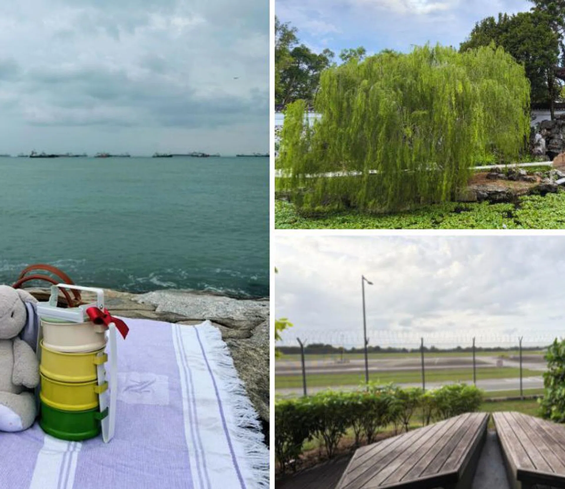 peaceful picnic spots for families in singapore