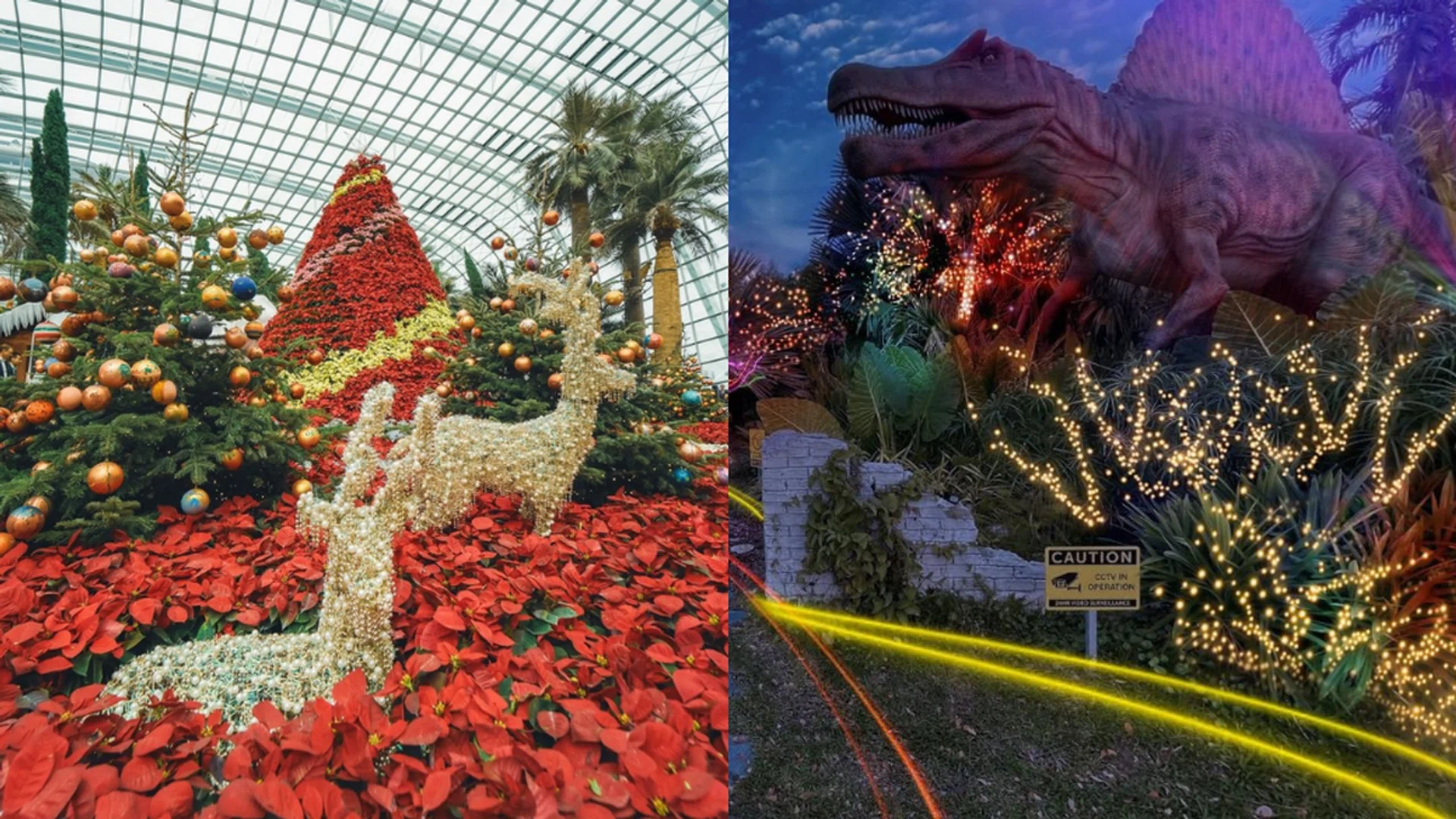 Credit: gardensbythebay/Instagram and Changi Airport