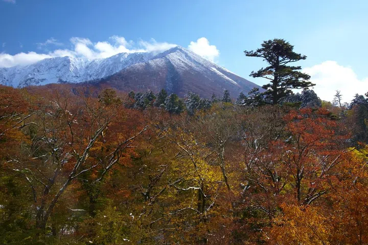 Japan, Tottori Prefecture, Mt Daisen, Trees in front of mountains.