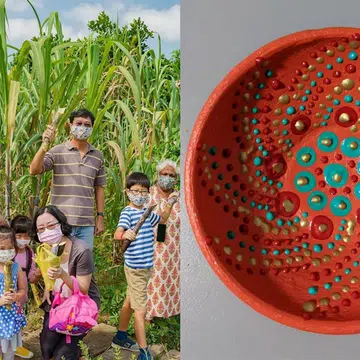 Family-friendly activities 10 - 16 Jan