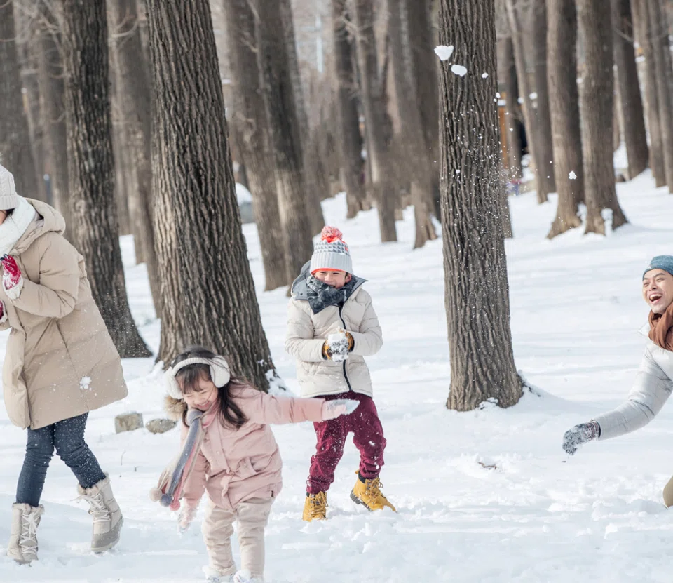 Year-end family holiday destinations