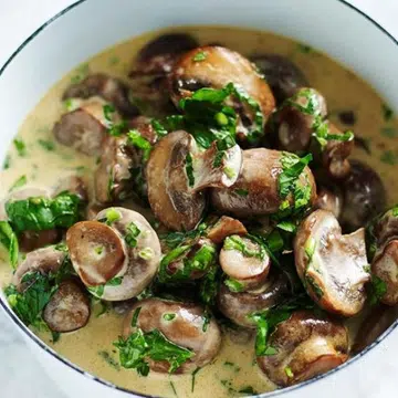 Mushroom Sauce