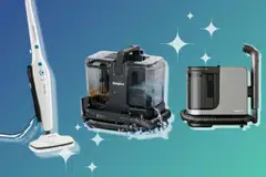 best steam cleaners 2026