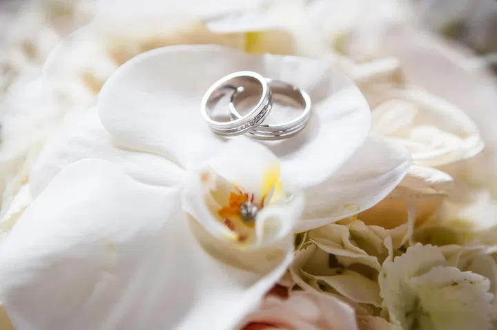 Wedding rings on the roses