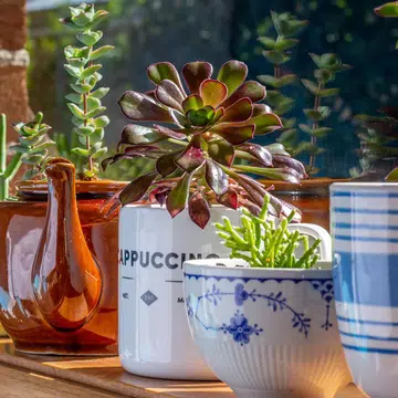10 Home Items You Throw Out All The Time That Can Actually Be Reused