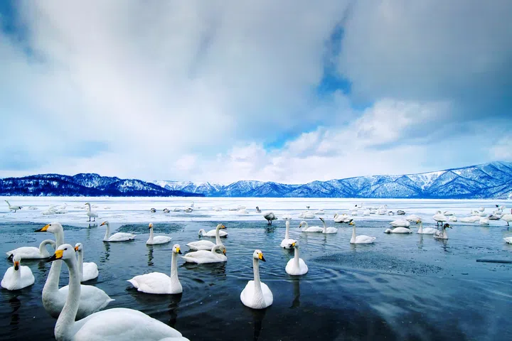 Chan Brothers Travel: Hokkaido, year-end holiday destinations, The Moments We Travel For