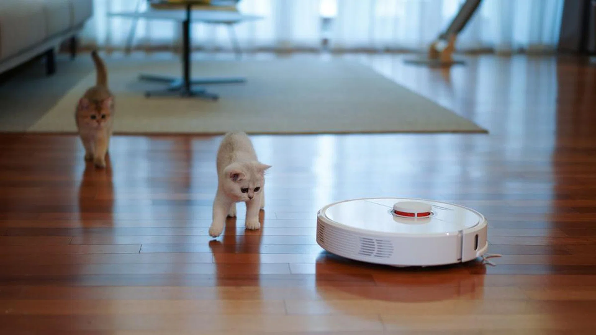 8 Best Vacuum Cleaners in Singapore 2023: Xiaomi, Dyson, Tineco, Philips and more
