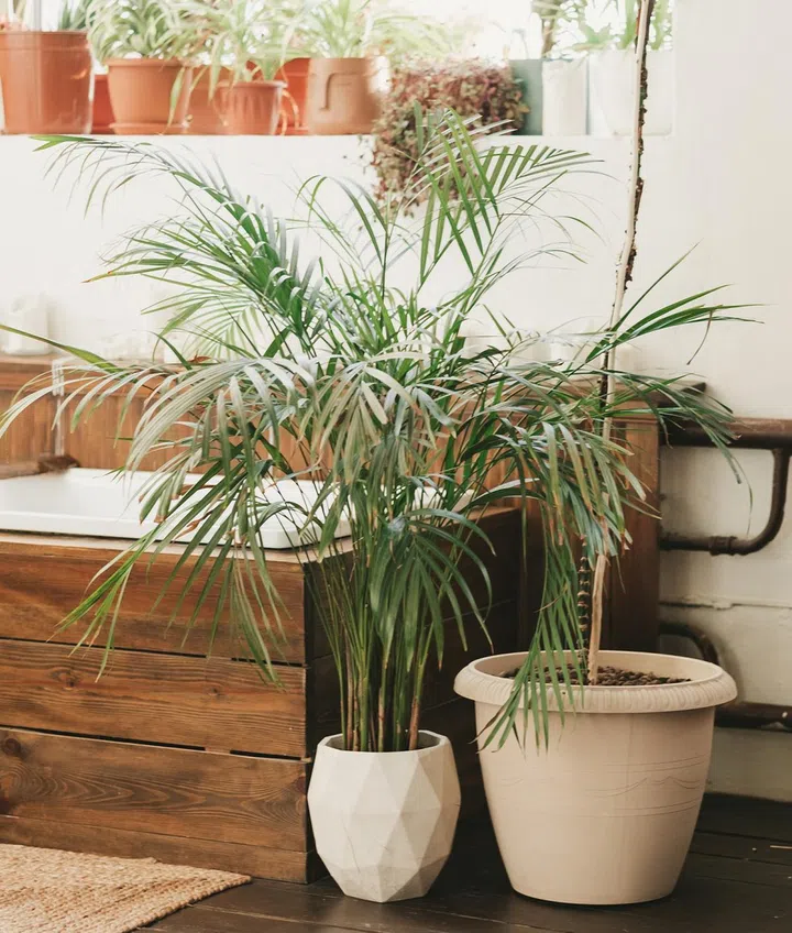 Balinese style bathroom interior. Vertical frame