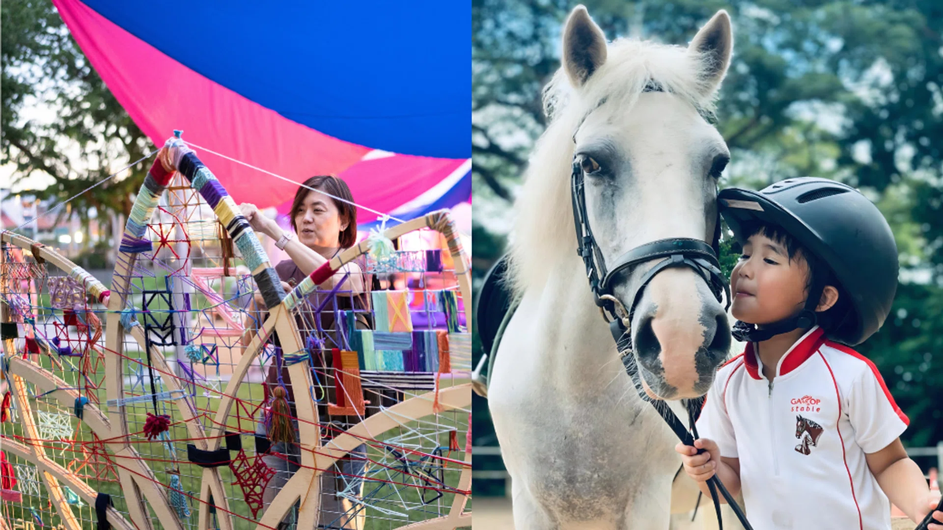 Fashion Playground, Gallop Stable