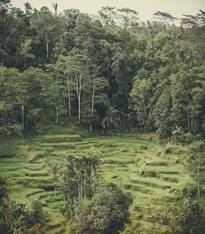 Bolstering your connection with the earth element can create a sense of security and stability. (Photo by Artem Beliaikin from Pexels)